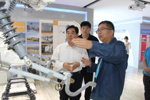 安澜公司：政企携手促发展 ——淄博市、张店区领导莅临安澜公司调研