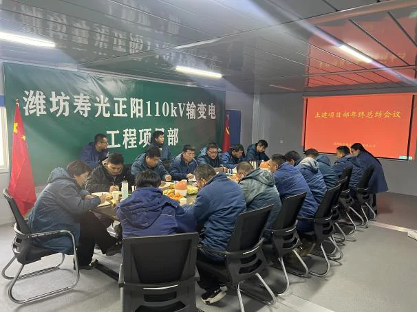 瑞安公司：土建专业召开年终总结会