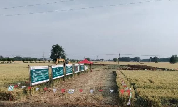 监理公司：多方努力  首基杆塔基础终得开工