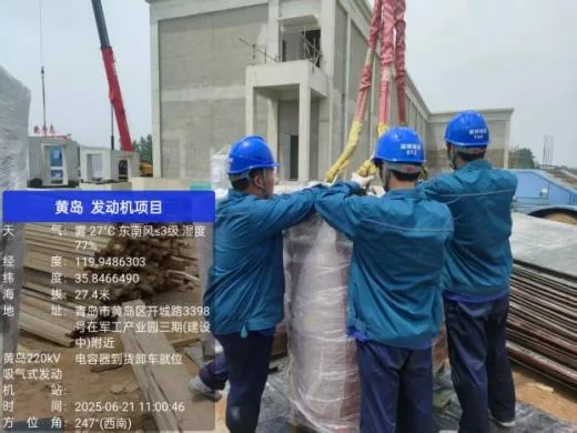 瑞安公司：吸气式发动机220千伏总变电站新建工程 电气设备进场安装