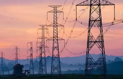 安洪光：构建全国统一电力市场新格局 激发高质量发展新活力